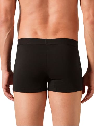 COTONELLA Boxershorts  in Schwarz