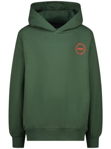 RAIZZED® Hoodie groen