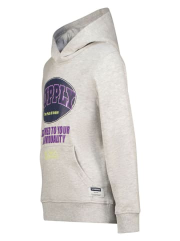 Vingino Hoodie in Grau