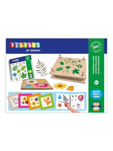 Playbox Knutselset "Natur entdecken" - vanaf 5 jaar