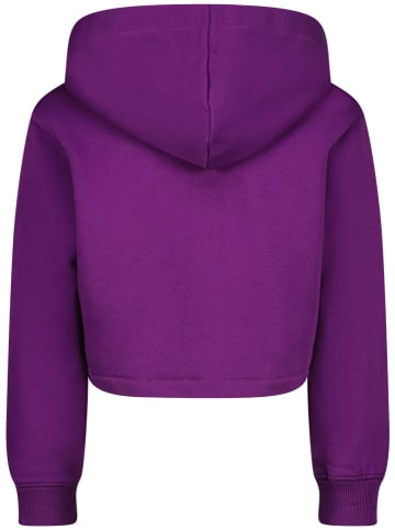 Vingino Hoodie in Lila