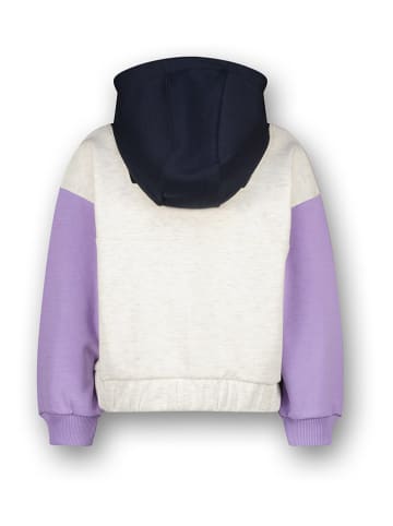 Vingino Hoodie in Grau