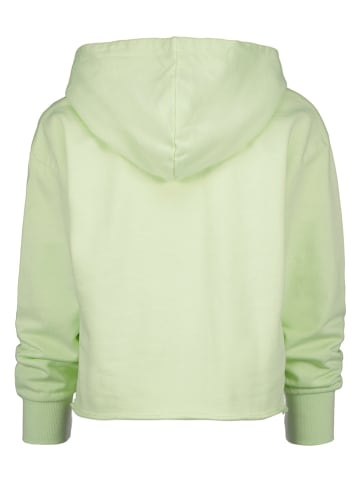RAIZZED® Hoodie "Wajima" groen