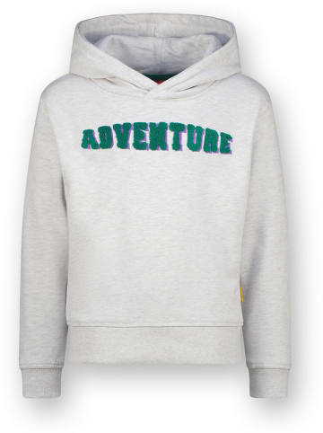 Vingino Hoodie in Grau