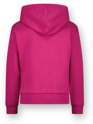 Vingino Hoodie in Pink