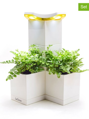 Designnest 7-delige set: bloempotten ''Le Grow'' wit - (B)17 x (H)31 x (D)17 cm