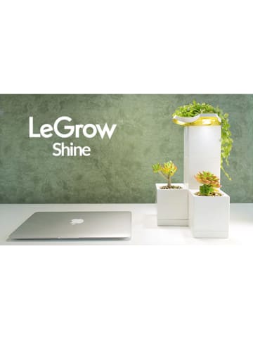Designnest 7tlg. Set: Blumentöpfe ''Le Grow'' in Weiß - (B)17 x (H)31 x (T)17 cm