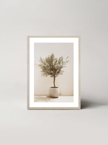 Ars Longa Gerahmter Kunstdruck "Olive tree"