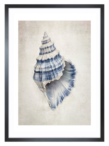 Ars Longa Druk artystyczny "Sea Shell I" w ramce - 70 x 50 cm