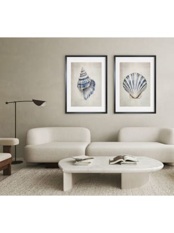 Ars Longa Ingelijste kunstdruk "Sea Shell I" - (L)70 x (B)50 cm