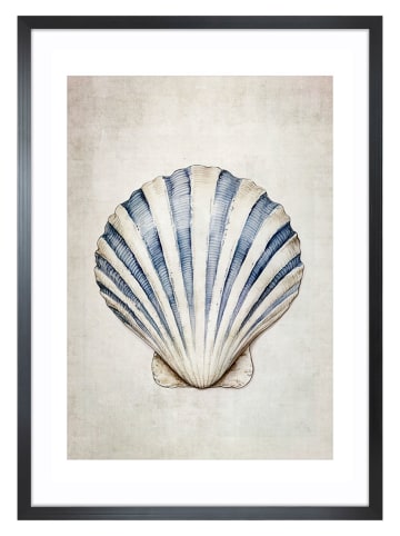 Ars Longa Druk artystyczny "Sea Shell II" w ramce - 70 x 50 cm