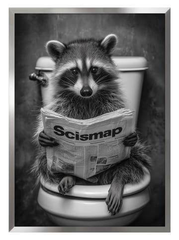 Ars Longa Gerahmter Kunstdruck "Raccoon in the Toilet" - (L)70 x (B)50 cm