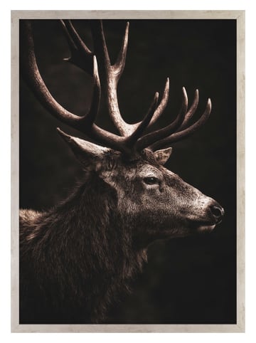 Ars Longa Druk artystyczny "Brown Deer" w ramce - 70 x 50 cm
