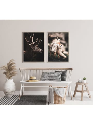 Ars Longa Gerahmter Kunstdruck "Brown Deer" - (L)70 x (B)50 cm