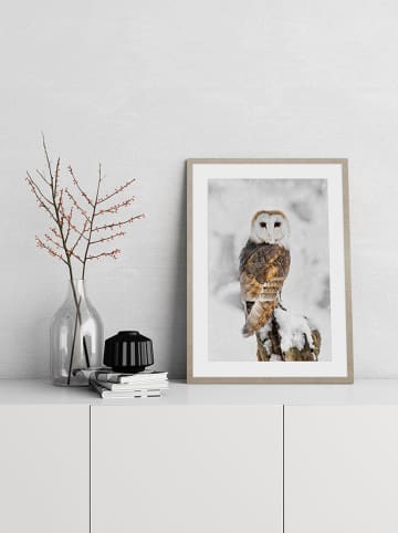 Ars Longa Ingelijste kunstdruk "Owl In Winter Scenery" - (L)70 x (B)50 cm