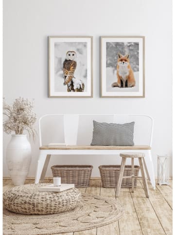 Ars Longa Ingelijste kunstdruk "Owl In Winter Scenery" - (L)70 x (B)50 cm