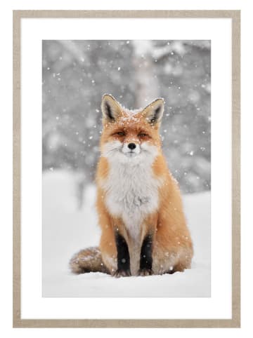 Ars Longa Druk artystyczny "Fox In Winter Scenery" w ramce - 70 x 50 cm