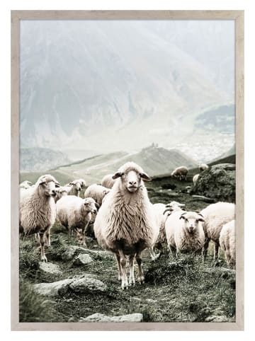 Ars Longa Druk artystyczny "Scandinavian Sheep" w ramce - 70 x 50 cm