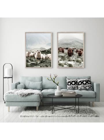 Ars Longa Druk artystyczny "Scandinavian Sheep" w ramce - 70 x 50 cm