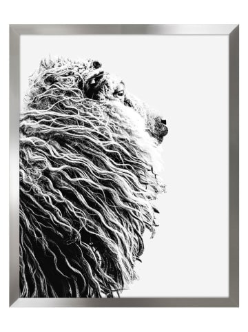 Ars Longa Druk artystyczny "Sheep I" w ramce - 70 x 50 cm