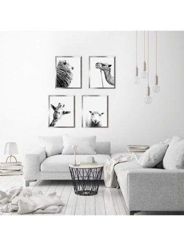 Ars Longa Druk artystyczny "Sheep I" w ramce - 70 x 50 cm