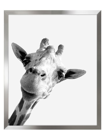 Ars Longa Ingelijste kunstdruk "Giraffe" - (L)70 x (B)50 cm