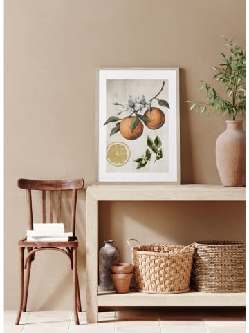 Ars Longa Ingelijste kunstdruk "Orange Life Cycle" - (L)70 x (B)50 cm