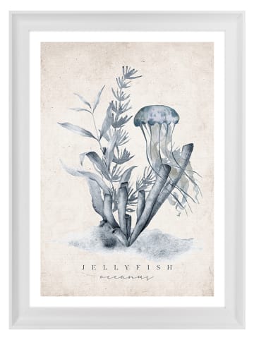Ars Longa Ingelijste kunstdruk "Jellyfish Illustration" - (L)70 x (B)50 cm