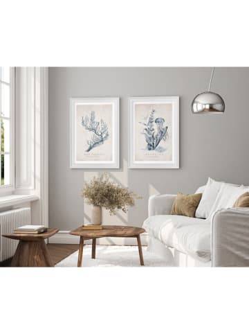 Ars Longa Ingelijste kunstdruk "Jellyfish Illustration" - (L)70 x (B)50 cm