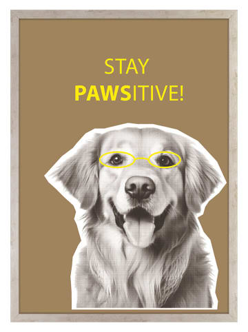 Ars Longa Ingelijste kunstdruk "Stay Pawsitive" - (L)70 x (B)50 cm
