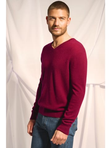 Just Cashmere Kasjmieren trui "Walt" bordeaux