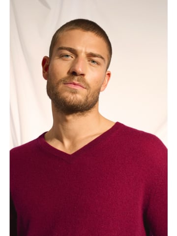 Just Cashmere Kasjmieren trui "Walt" bordeaux