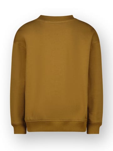 Vingino Sweatshirt "Nare" in Hellbraun