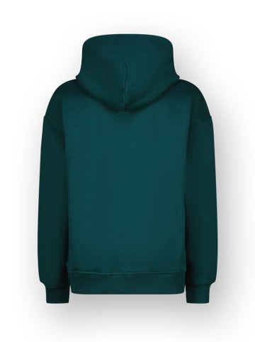 Vingino Hoodie in Grün