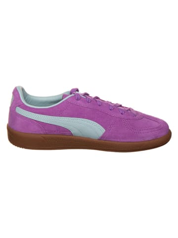Puma Sneakersy "Palermo" w kolorze fioletowym