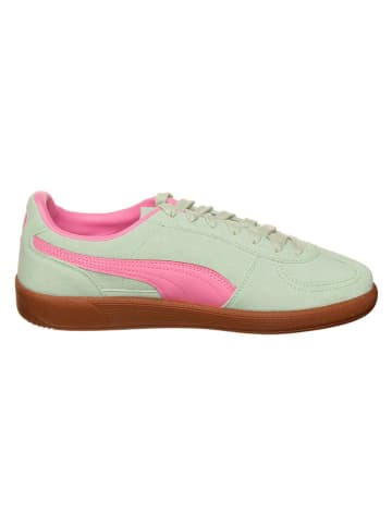 Puma Sneakersy "Palermo" w kolorze zielonym