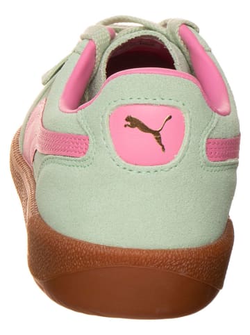 Puma Sneakersy "Palermo" w kolorze zielonym