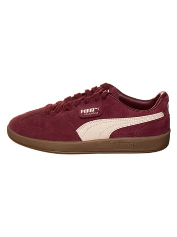 Puma Sneakersy "Palermo" w kolorze czerwonym