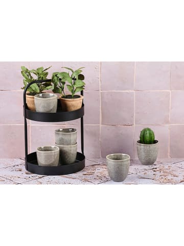 Björn Kubki (6 szt.) "Stellar" w kolorze szarobrązowym - 150 ml