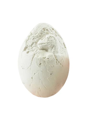 Toi-Toys Ausgrabungsset "Dino" - ab 6 Jahren