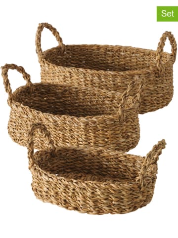 Boltze Kosze (3 szt.) "Sophy" w kolorze jasnobrązowym