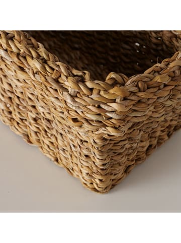 Boltze Kosze (3 szt.) "Sophy" w kolorze jasnobrązowym