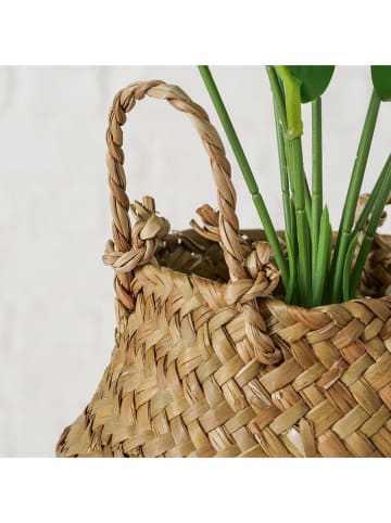 Boltze Sztuczna roślina w kolorze zielono-jasnobrązowym - wys. 45 cm