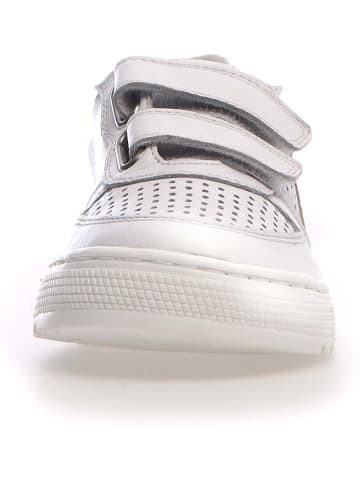 Naturino Sneakers "Hess" wit