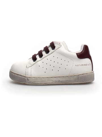Naturino Leder-Sneakers "Hasselt" in Weiß