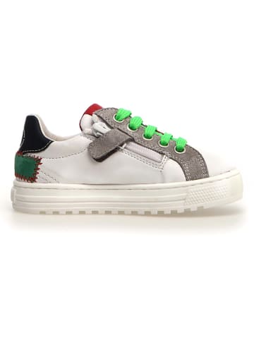 Naturino Leren sneakers "Hess" wit/meerkleurig