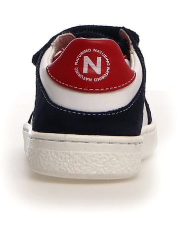 Naturino Leder-Sneakers "Theral" in Bunt