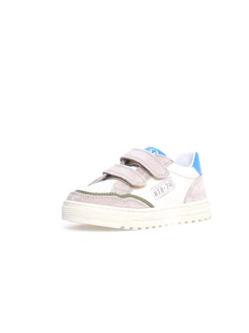 Naturino Leder-Sneakers "Ariton" in Rosa/ Weiß/ Blau