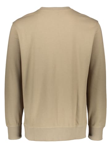 O'Neill Sweatshirt "Pique Crew" beige