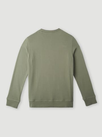 O'Neill Sweatshirt "Surf State" in Grün